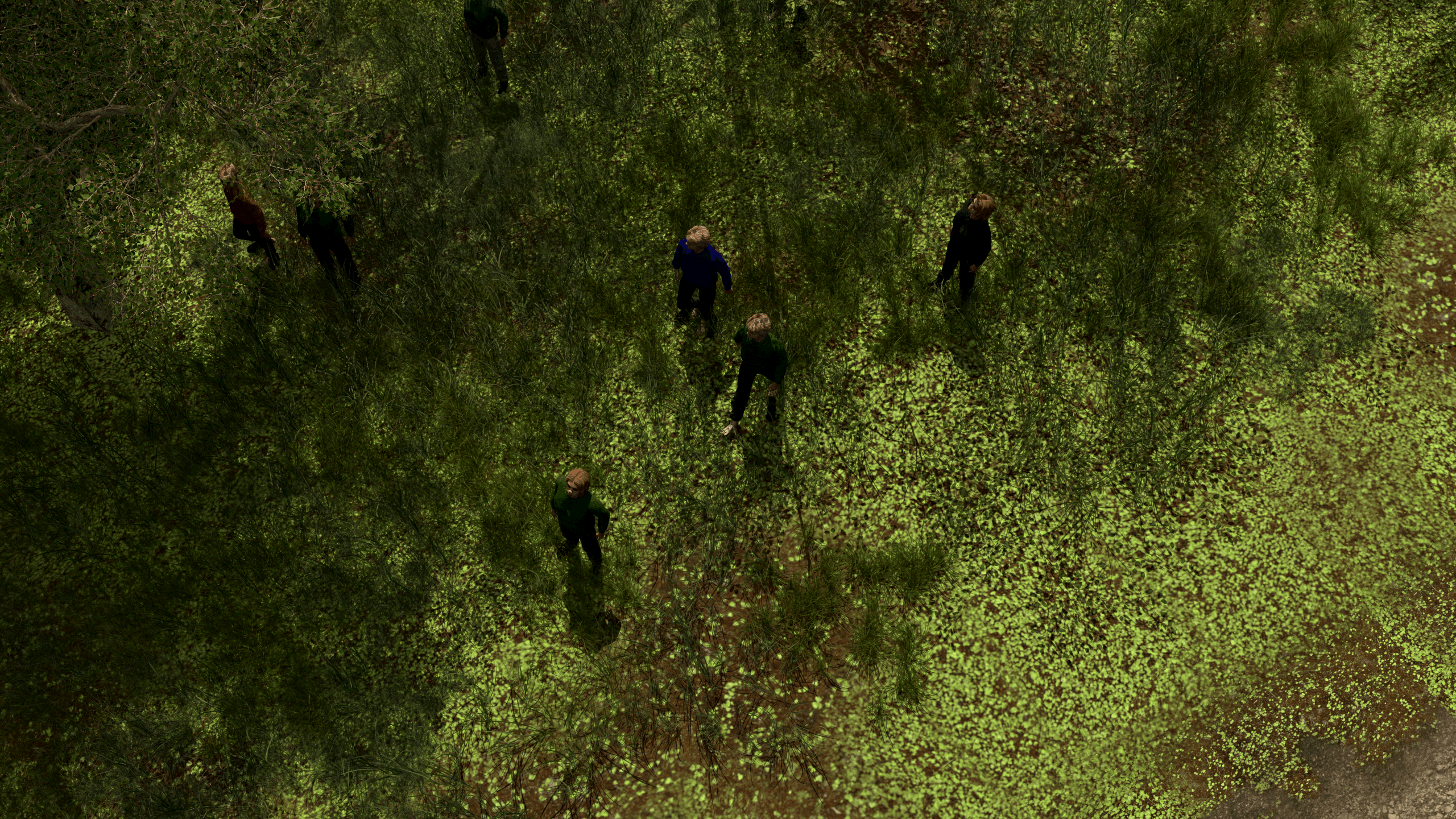 Groups of people in forested areas